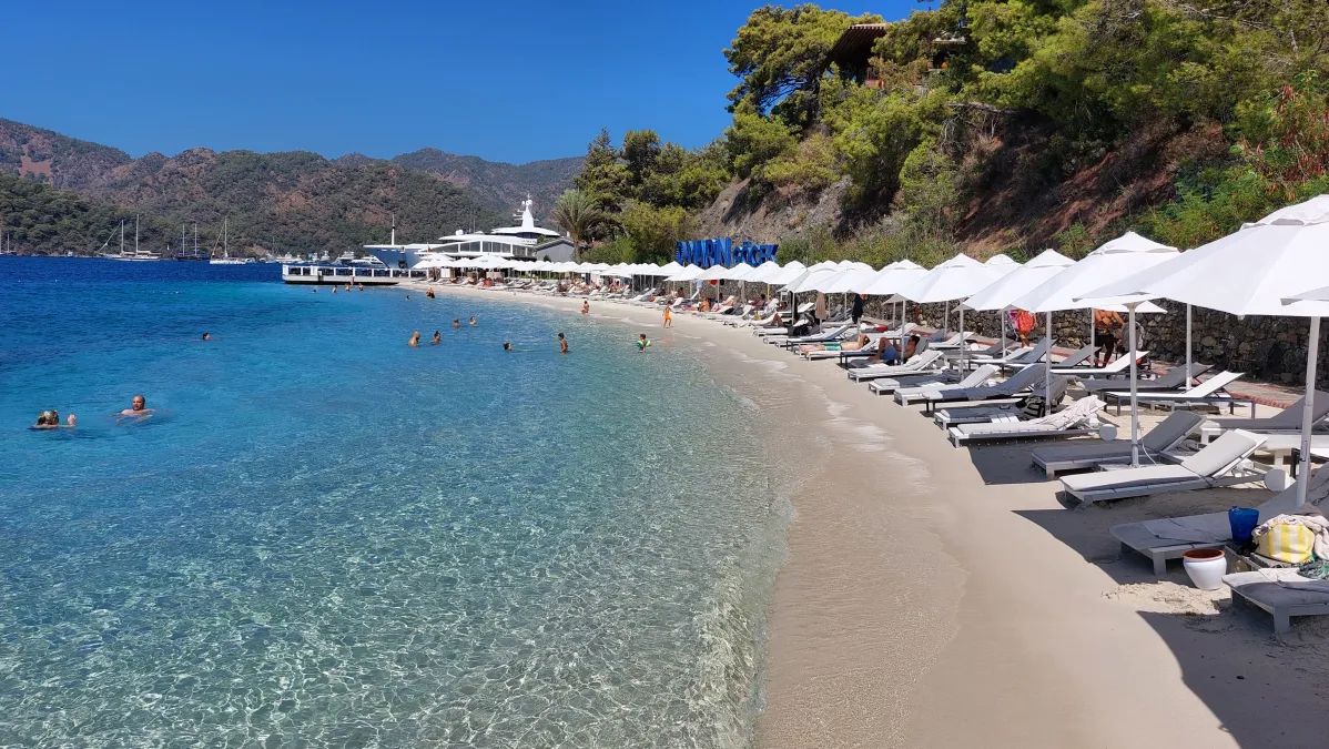 D- Marin Göcek