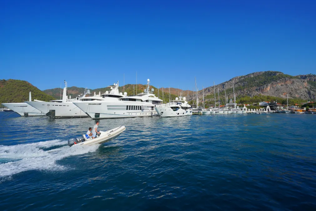 D- Marin Göcek