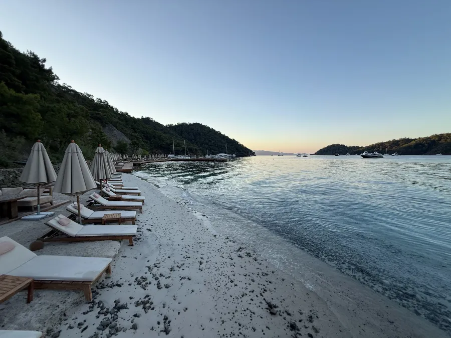 D- Marin Göcek