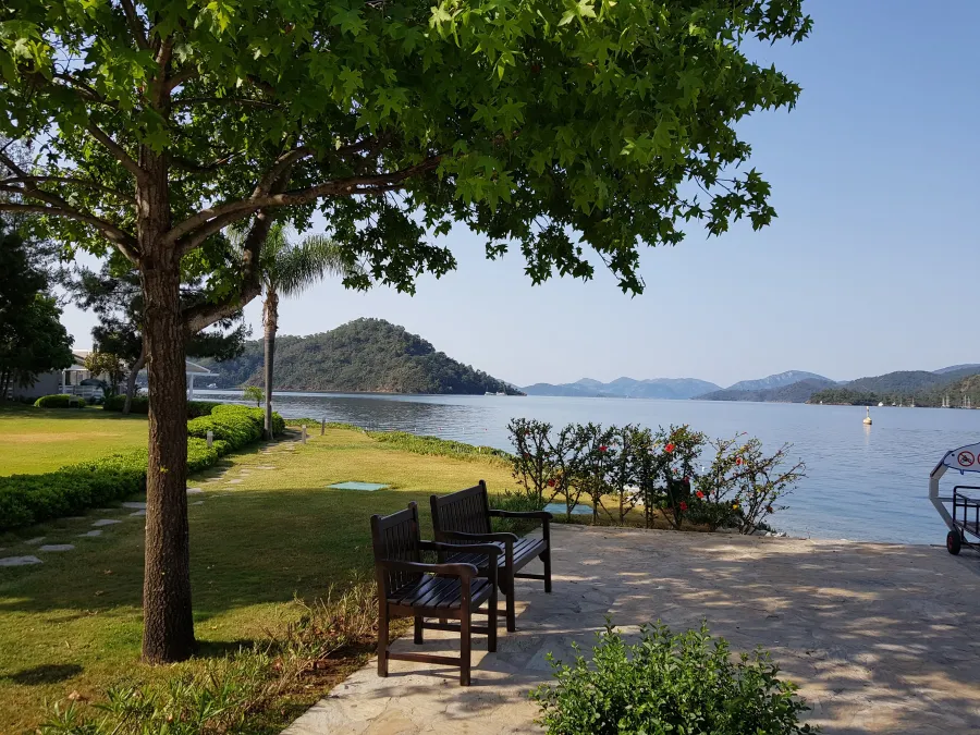 D- Marin Göcek