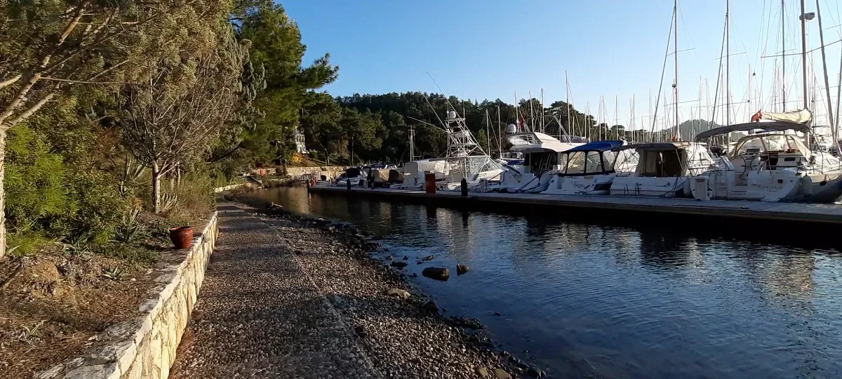 D- Marin Göcek