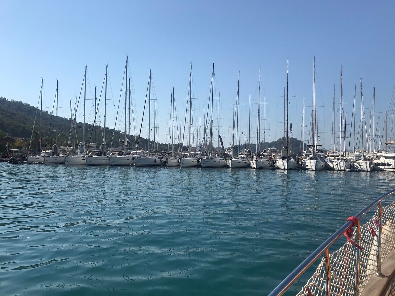 D- Marin Göcek