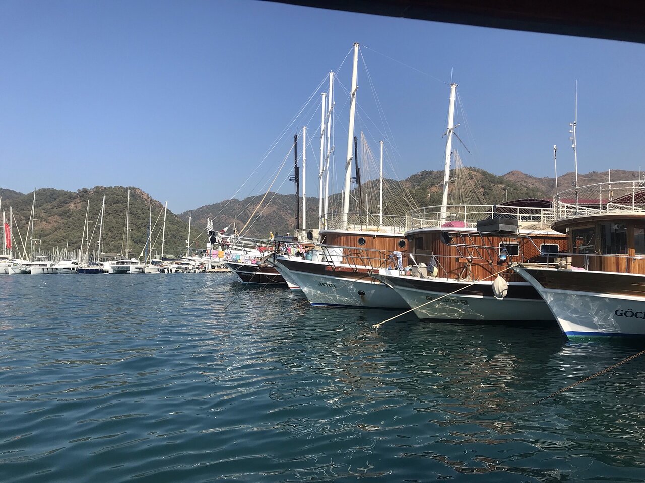 D- Marin Göcek