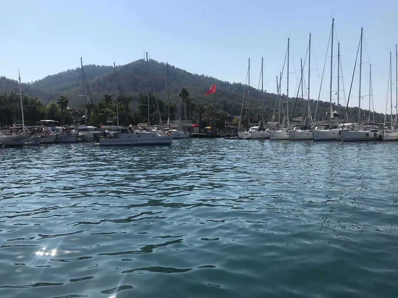 D- Marin Göcek