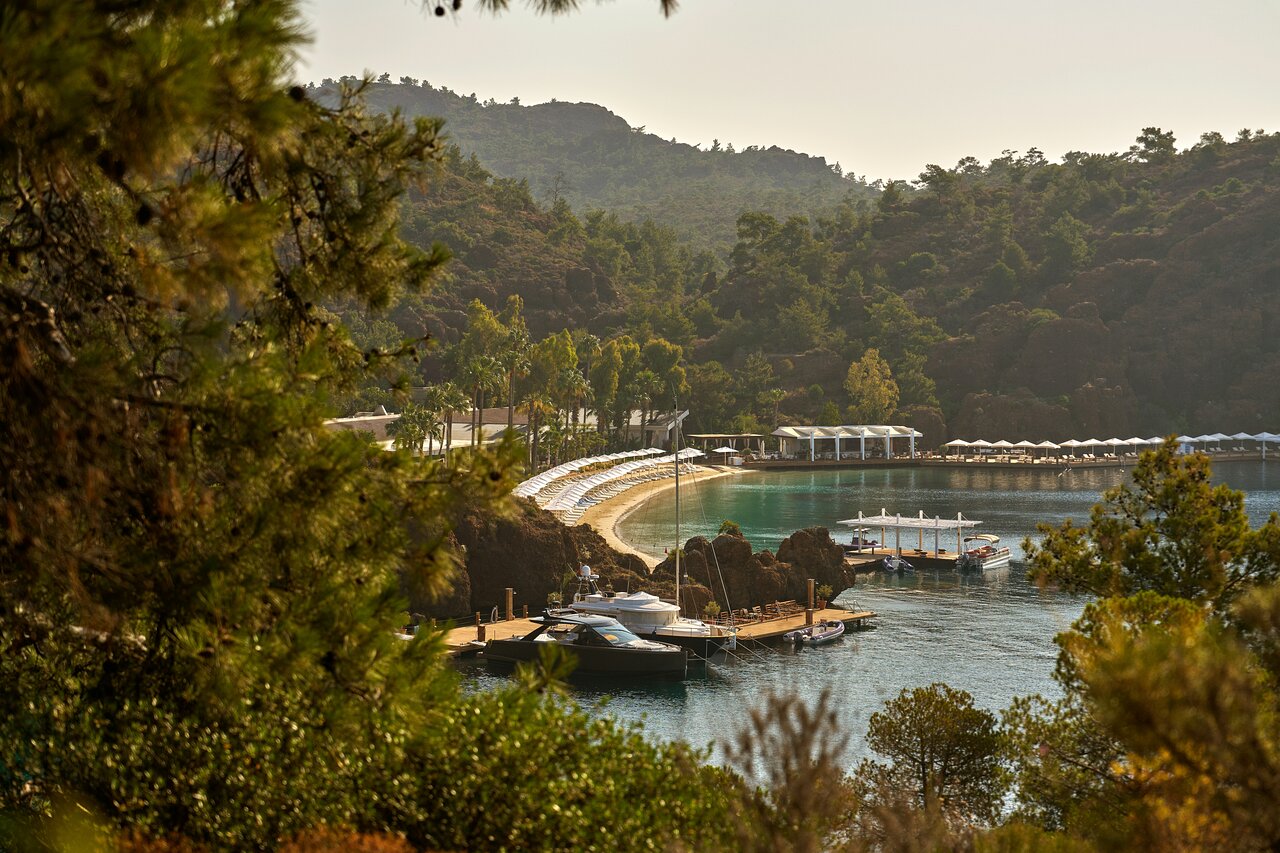 D Maris Bay