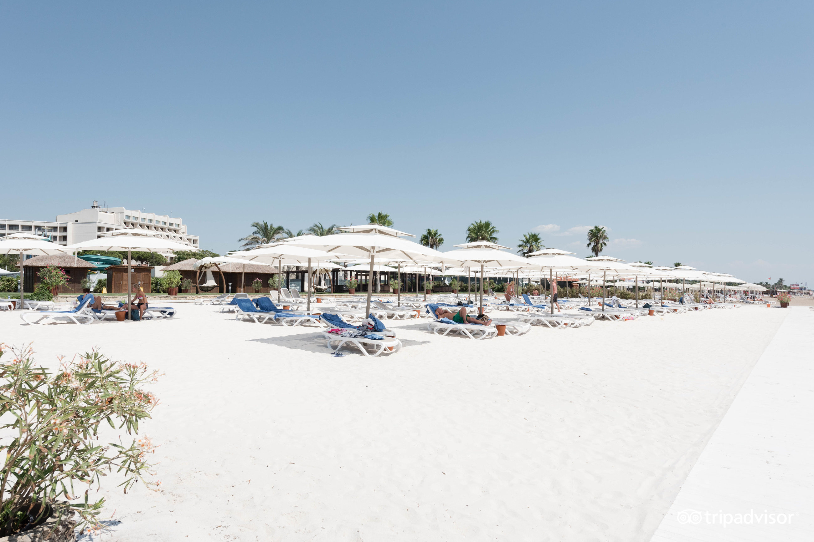Regnum Carya
