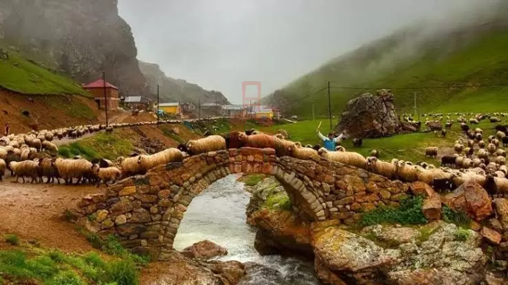 Les plus beaux endroits à visiter à Gümüşhane
