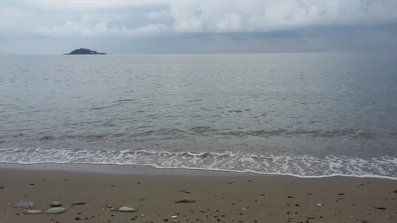 أفكار لرحلة نهارية إلى الشاطئ بالقرب من غيرسون