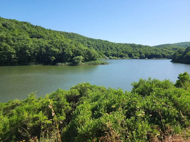 أكثر مناطق التخييم شعبية بالقرب من بيكوز