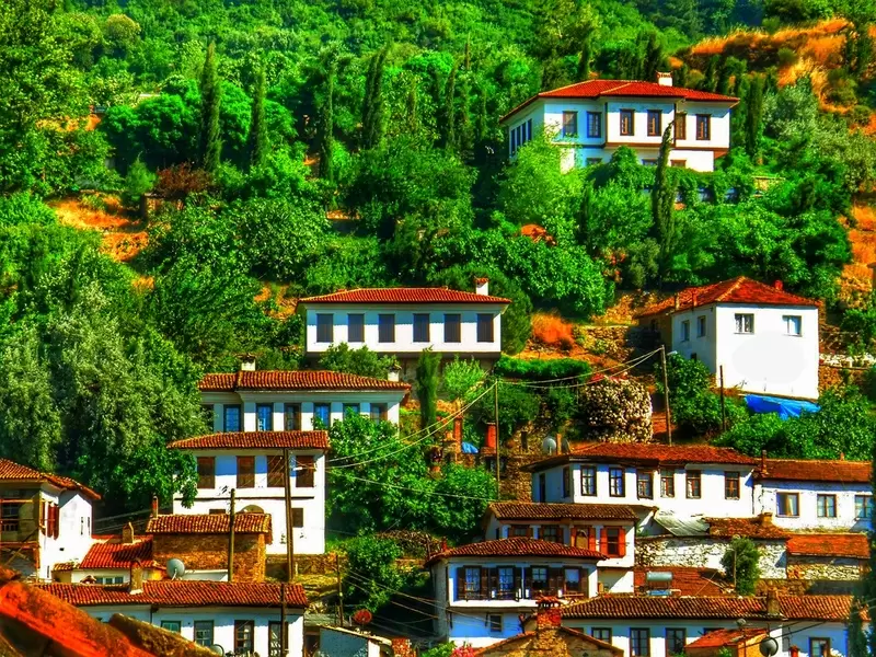 Les meilleurs endroits en Turquie pour une expérience de dégustation de vin