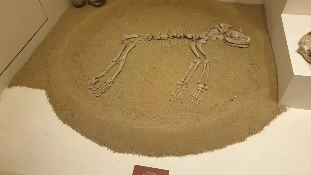 Tekirdağ Arkeoloji ve Etnografya Müzesi