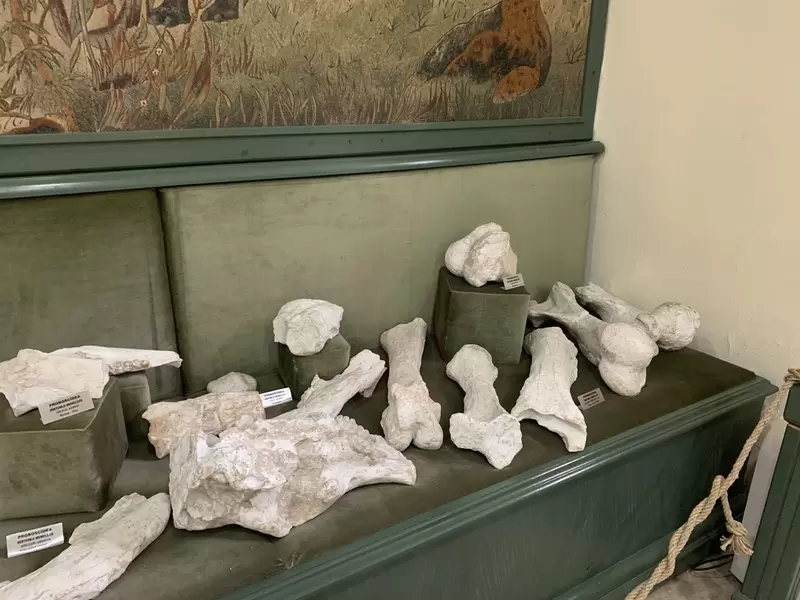 探索穆拉博物馆