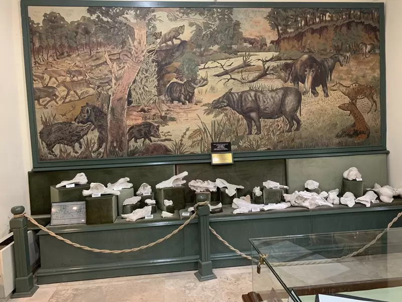 探索穆拉博物馆