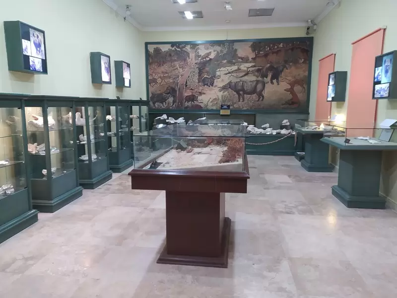 探索穆拉博物馆