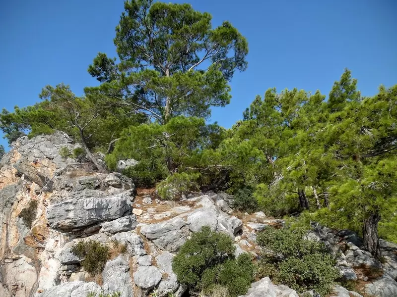 Küçükdipsiz Cave
