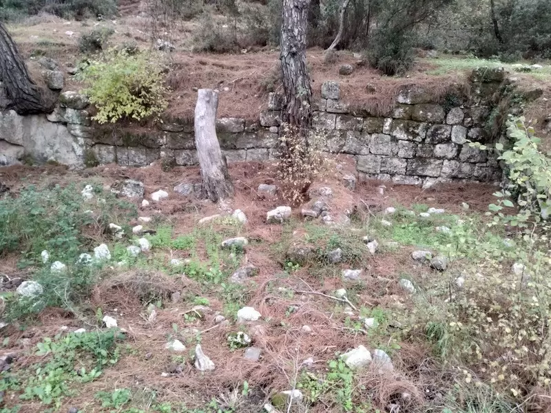 Древний город Колофон