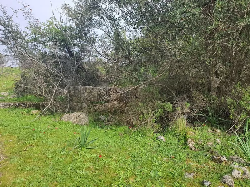 Древний город Колофон