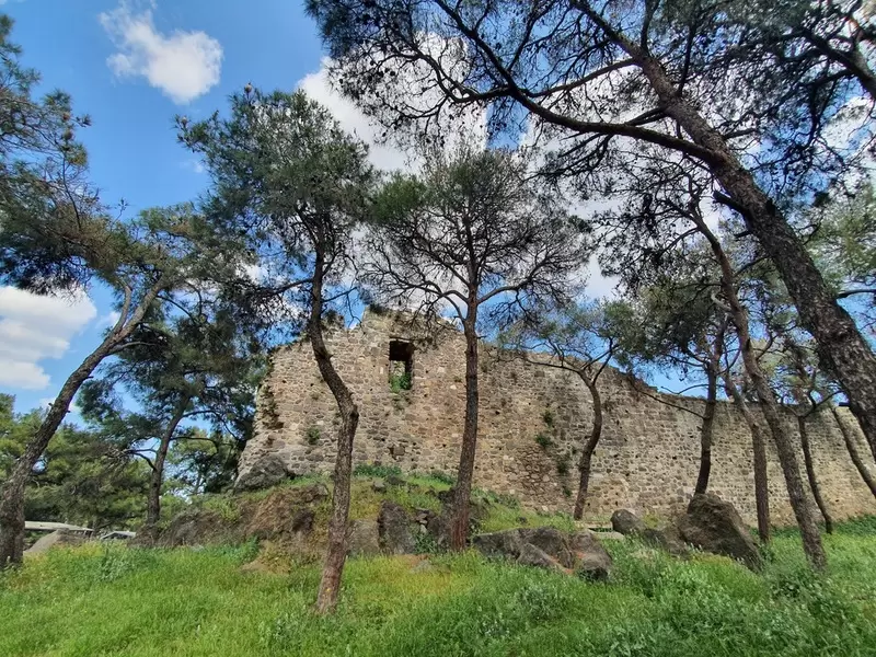 Откройте для себя Кадифекале