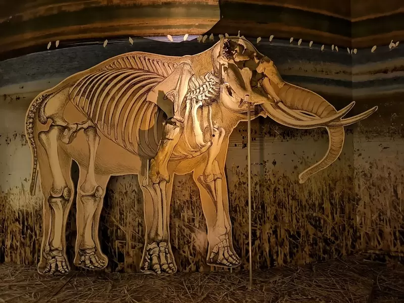 Discover Gaziantep Museum of Archaeology