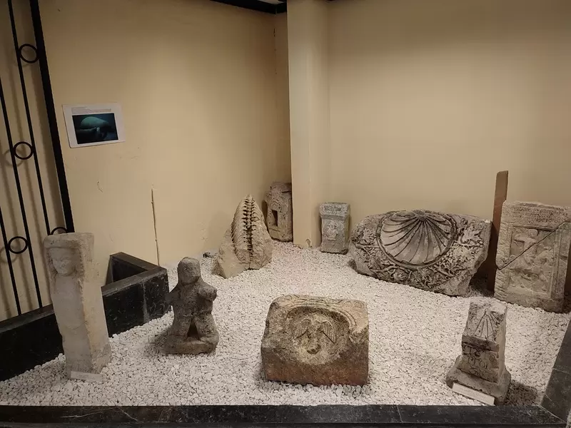 Откройте для себя музей Силифке