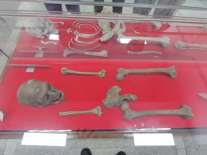 Откройте для себя Музей естественной истории Эгейского университета