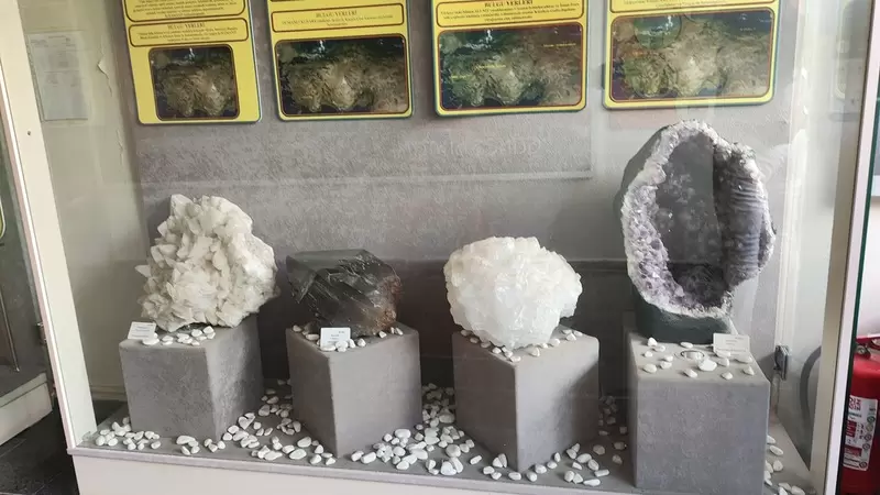 Откройте для себя Музей естественной истории Эгейского университета