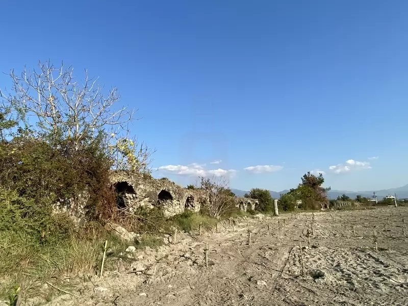 أطلال إيسوس