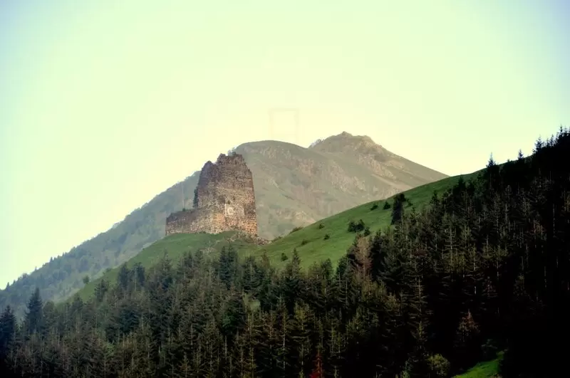 Замок Савашир