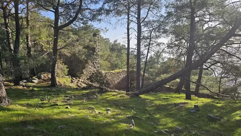 Découvrez le château d'Yelbiz