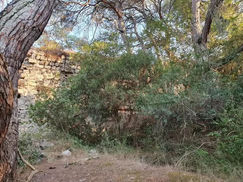 Discover Servantikar (Savranda Castle)