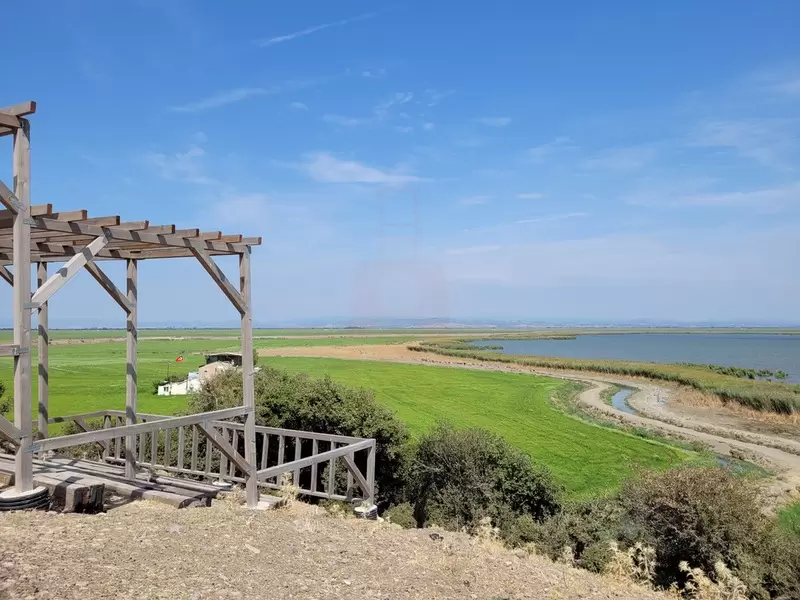بحيرة جالا
