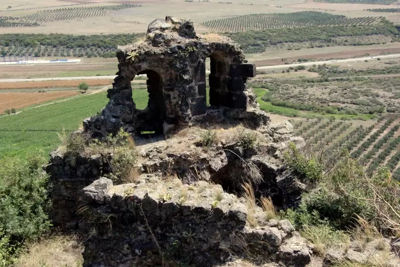 トプラッカレを発見する