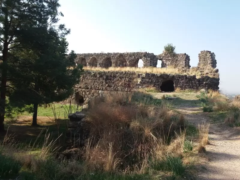 トプラッカレを発見する