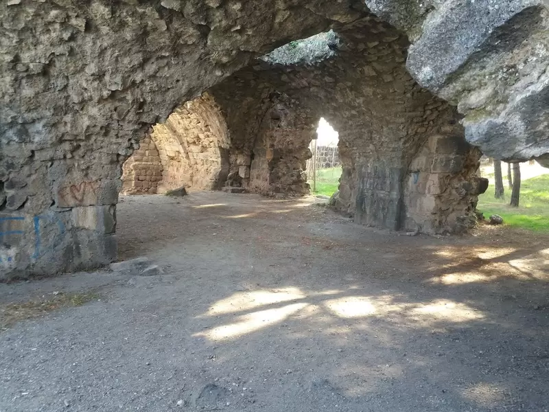 トプラッカレを発見する