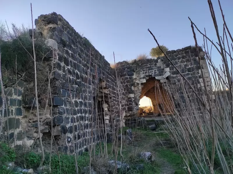トプラッカレを発見する