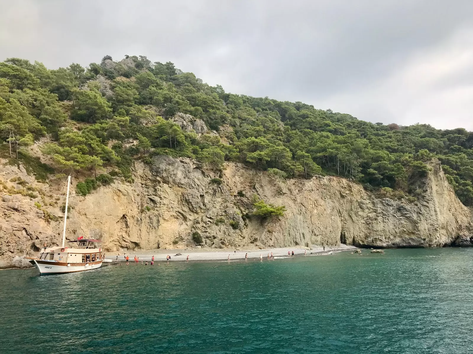 Plage de chameaux à Fethiye