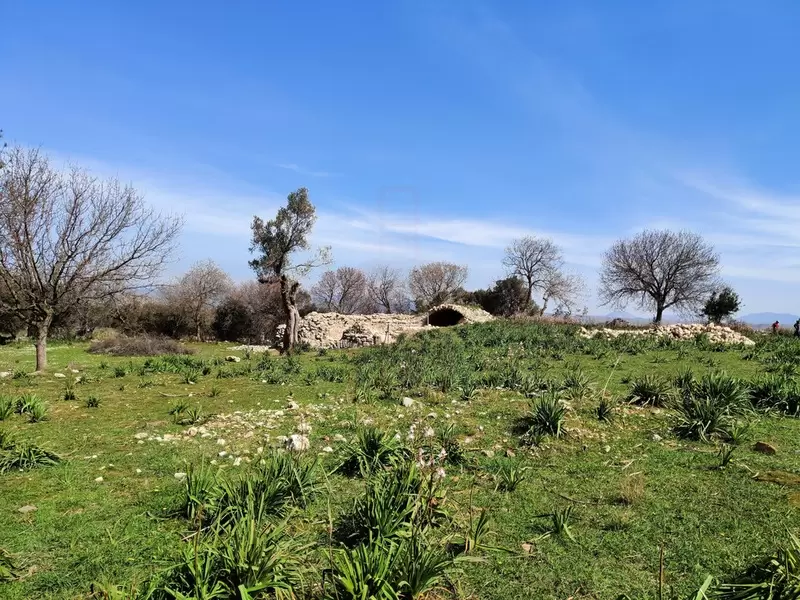 Древний город Теос