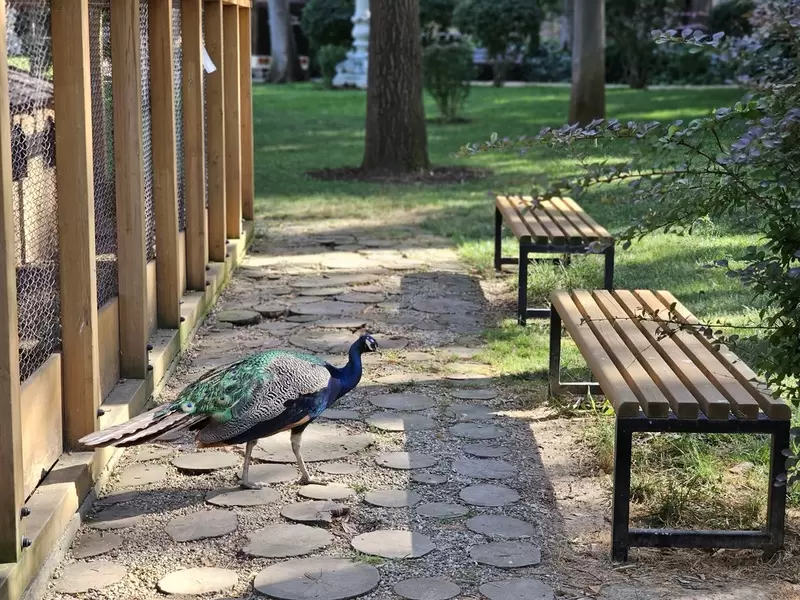 Откройте для себя дворец Ихламур