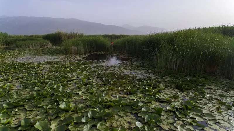Lago Eber