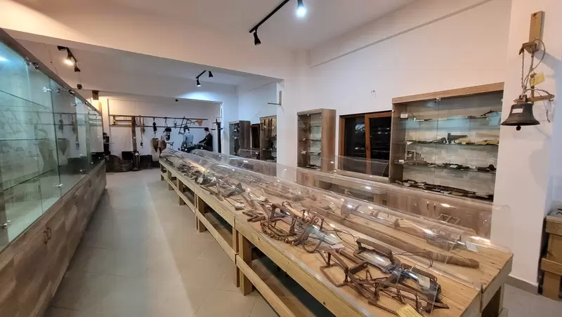 متحف ديكياماش