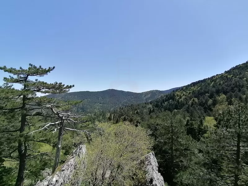 Гора Каз