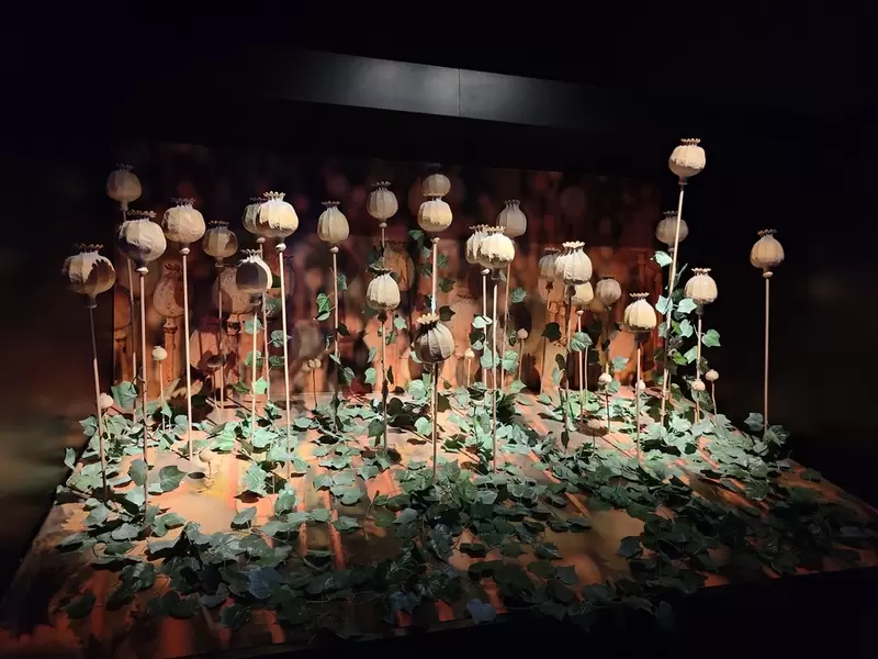 Entdecken Sie das Archäologische Museum Afyonkarahisar