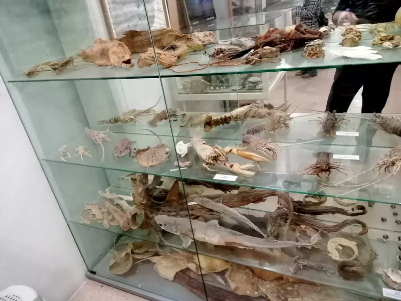 Scopri il Museo etnografico di Tahtakuşlar