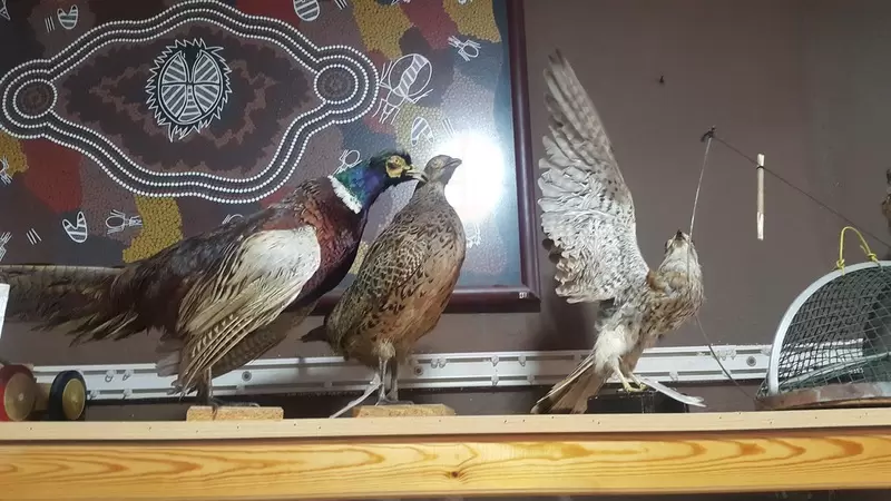 Scopri il Museo etnografico di Tahtakuşlar