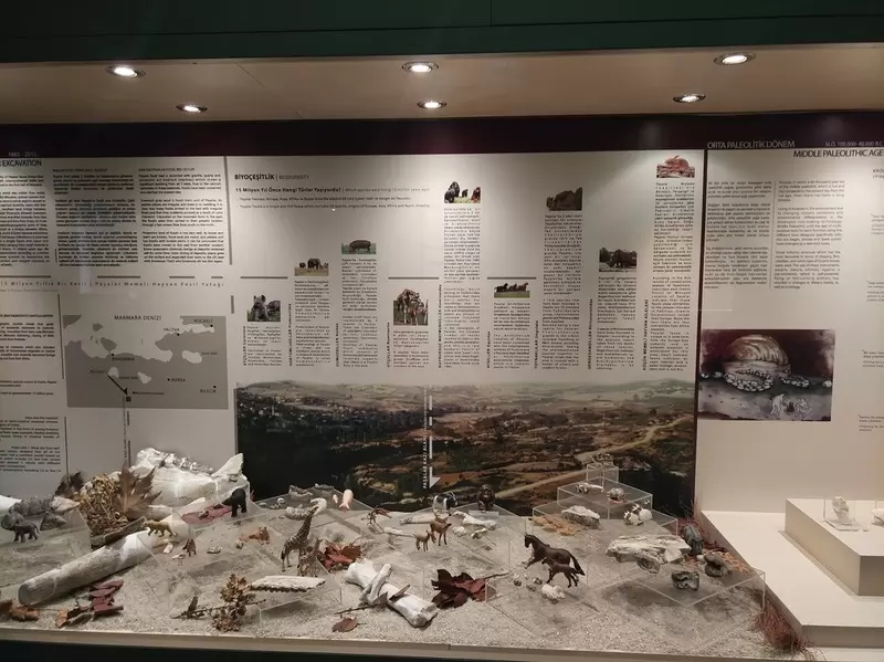 Entdecken Sie das Archäologische Museum Bursa