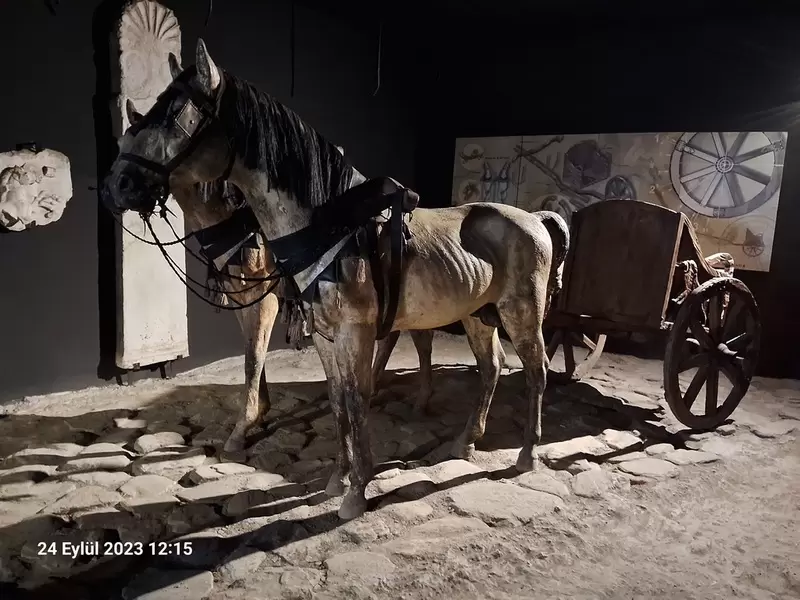 Entdecken Sie das Archäologische Museum Bursa