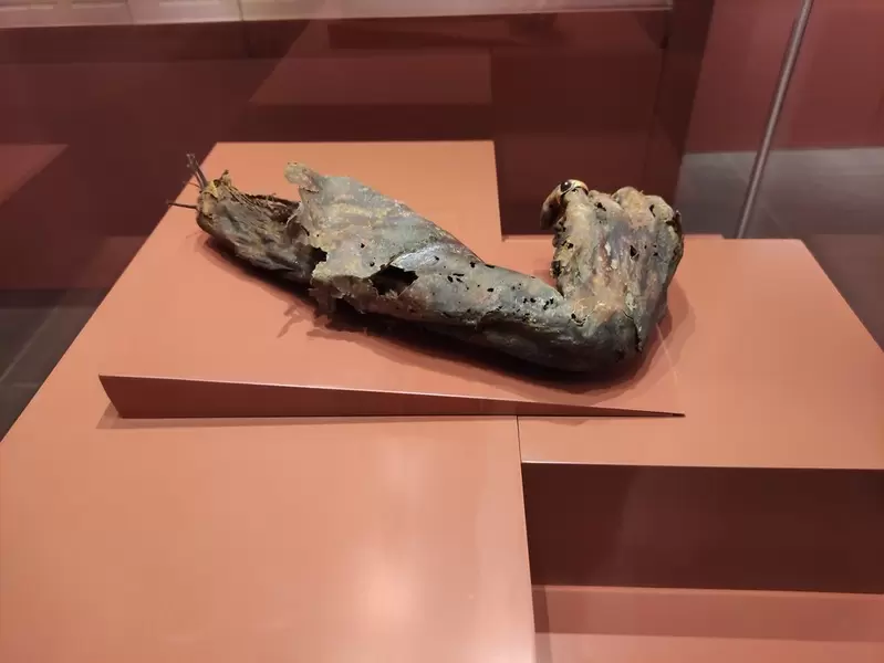 タルスス博物館を発見する