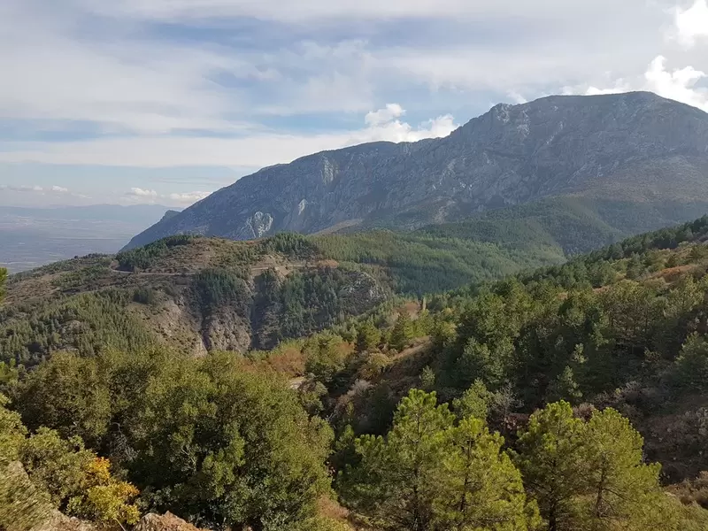 Mountain Of Spil