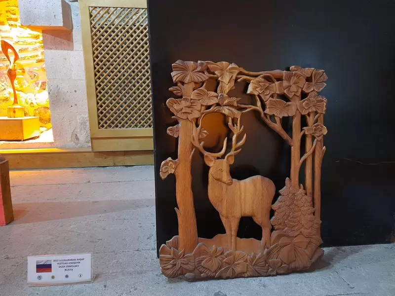 Musée des arts du bois Eskisehir Odunpazari