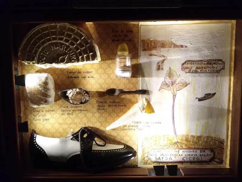 Откройте для себя Музей Невинности